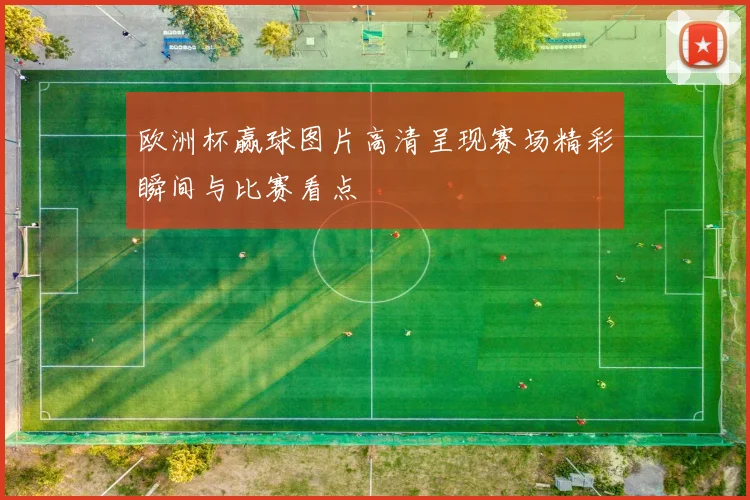 欧洲杯赢球图片高清呈现赛场精彩瞬间与比赛看点