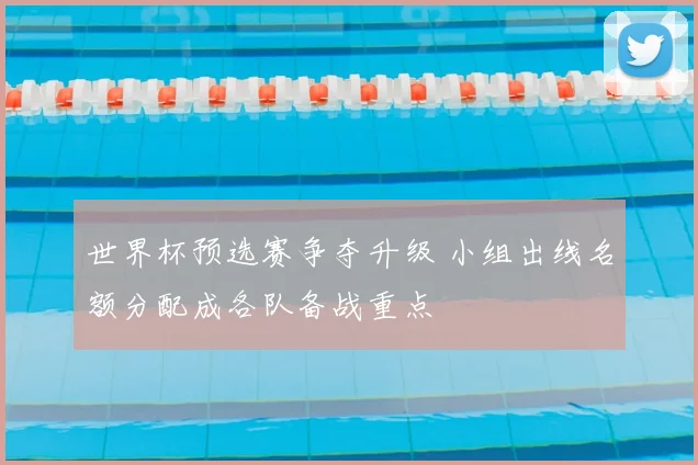 世界杯预选赛争夺升级 小组出线名额分配成各队备战重点