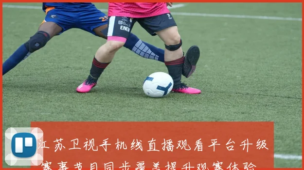 江苏卫视手机线直播观看平台升级 赛事节目同步覆盖提升观赛体验